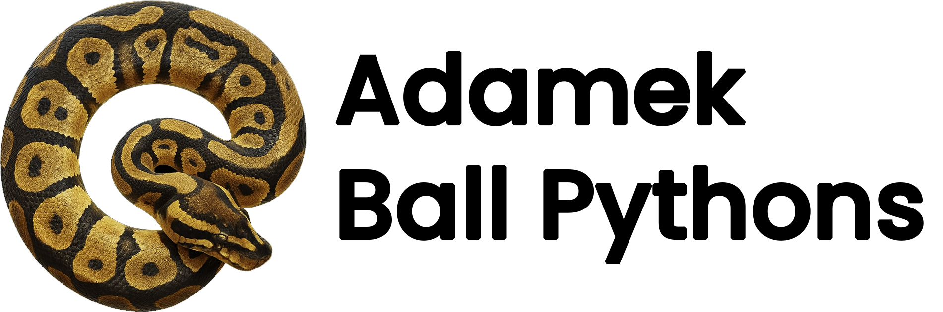 logo2